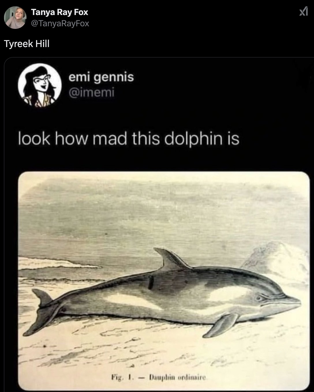 biology memes ecology - Tanya Ray Fox Tyreek Hill emi gennis look how mad this dolphin is Fig. 1. Dauphin ordinaire